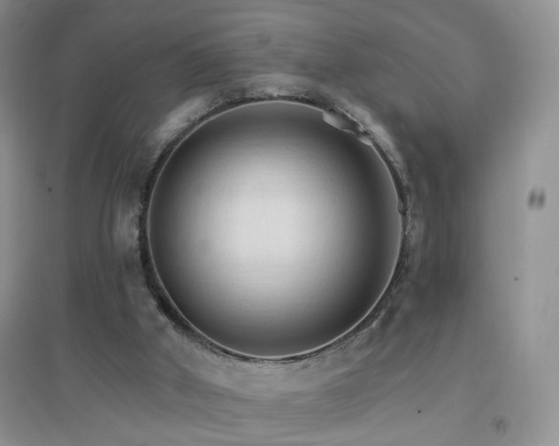X0000096970010200802081302