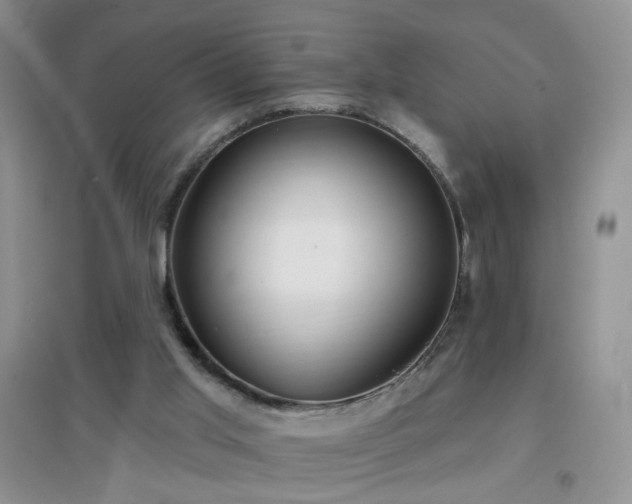 X0000096970013200802081302