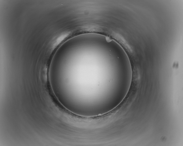 X0000096970014200802081302