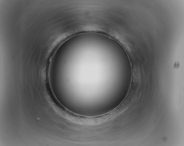 X0000096970015200802081302