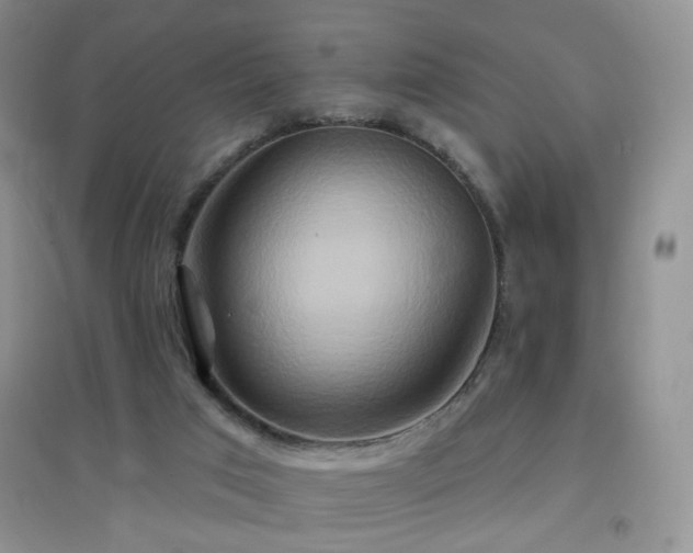 X0000096970017200802081302