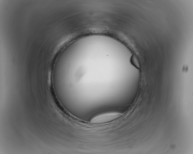 X0000096970019200802081302