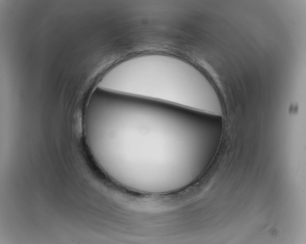 X0000096970020200802081302