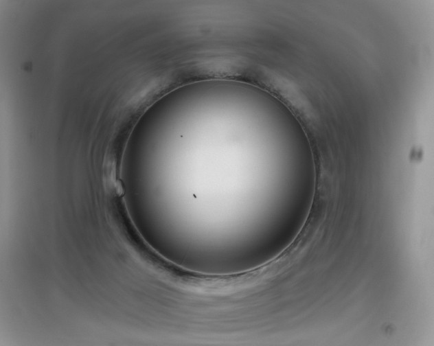 X0000096970021200802081302