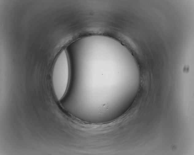 X0000096970023200802081302