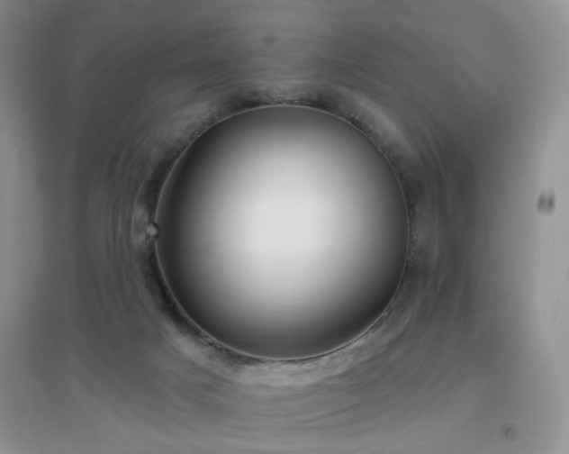 X0000096970025200802081302