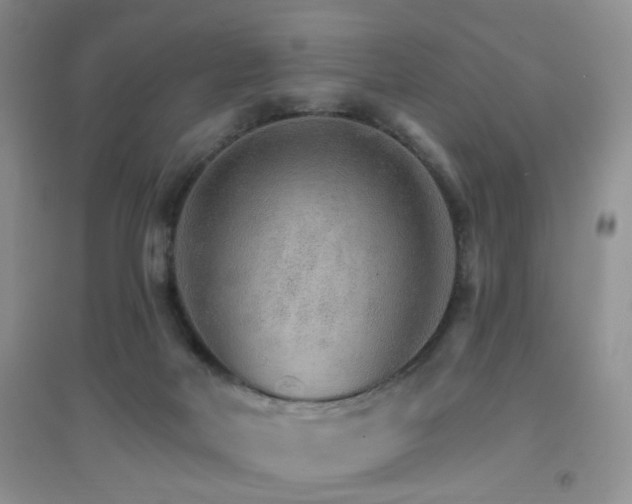 X0000096970026200802081302