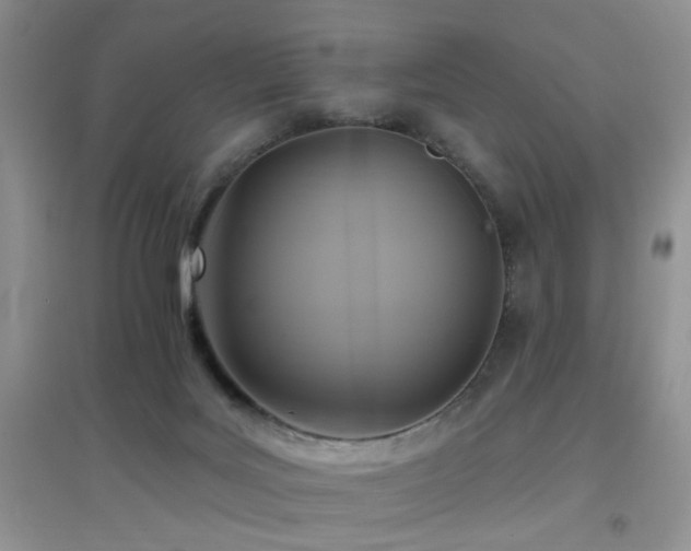 X0000096970027200802081302