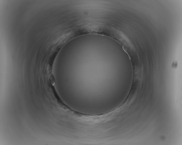 X0000096970029200802081302