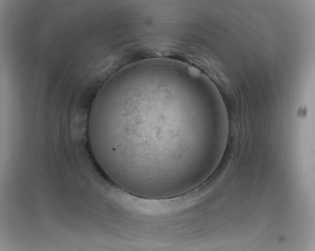 X0000096970030200802081302