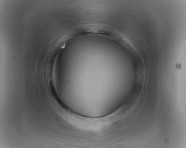 X0000096970031200802081302