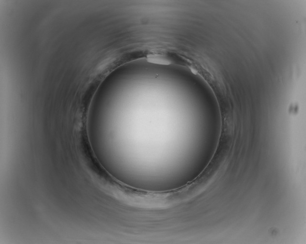 X0000096970032200802081302
