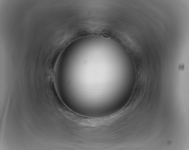 X0000096970033200802081302