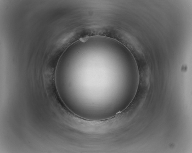 X0000096970034200802081302