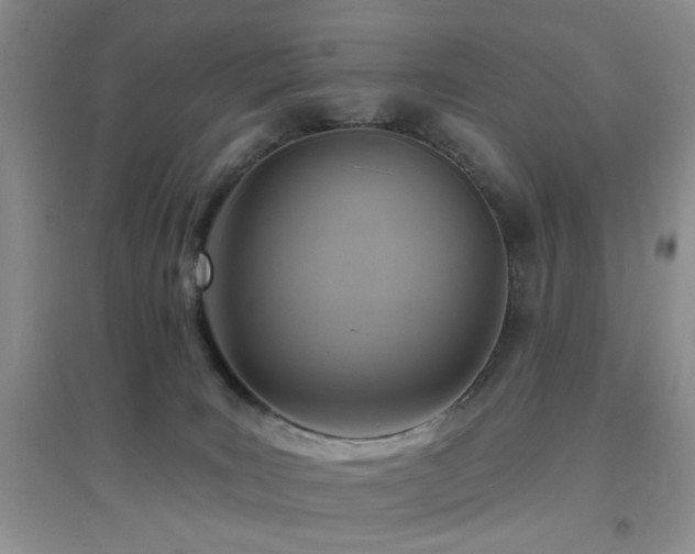 X0000096970035200802081302