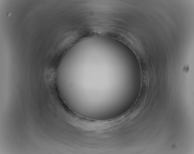 X0000096970036200802081302