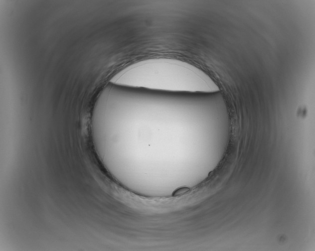 X0000096970038200802081302