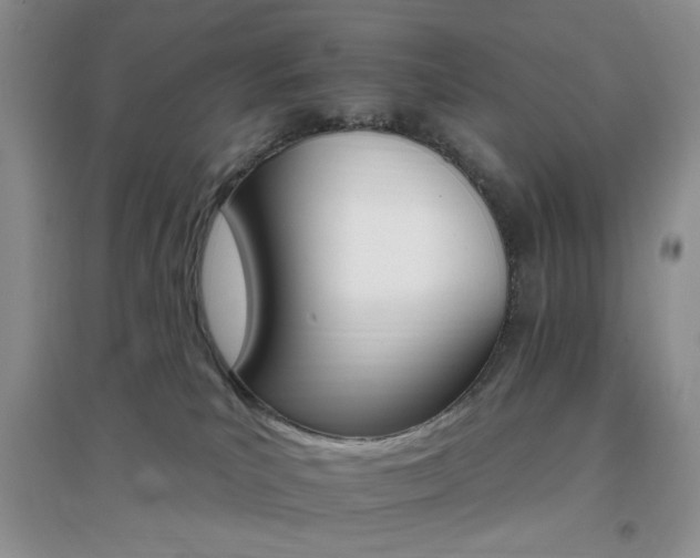 X0000096970039200802081302