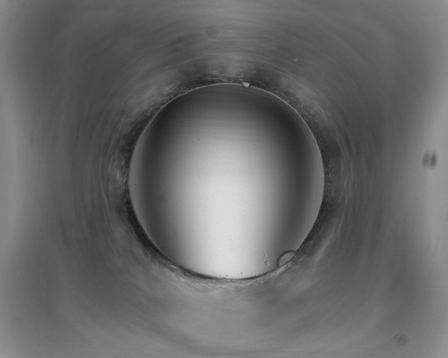 X0000096970040200802081302