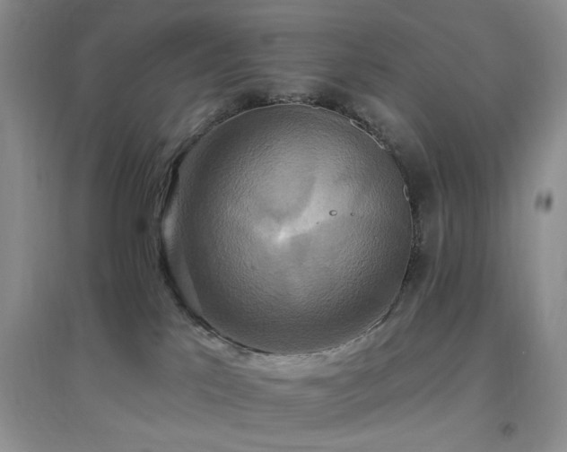X0000096970041200802081302