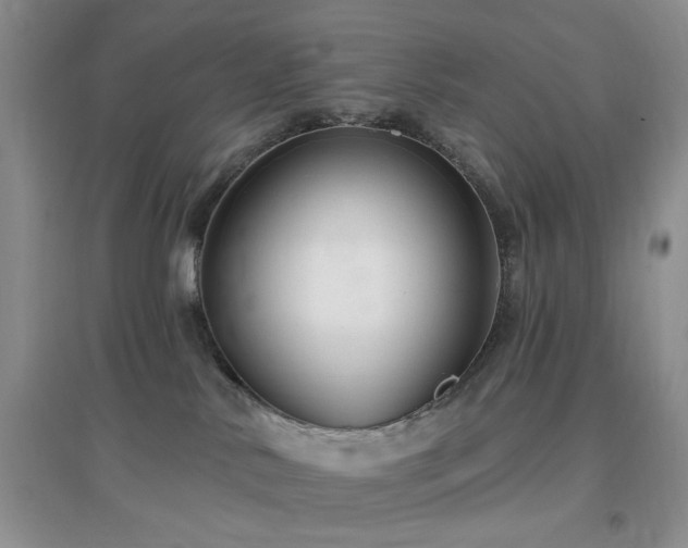 X0000096970042200802081302