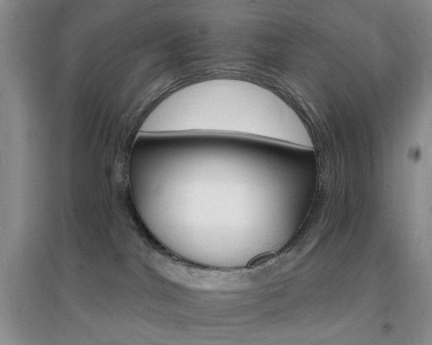 X0000096970044200802081302