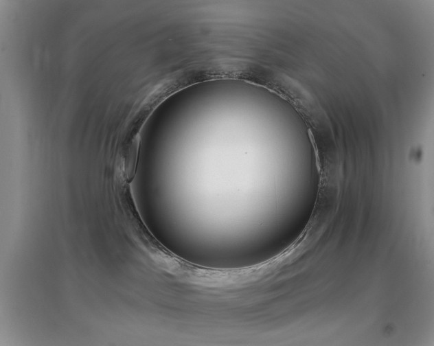 X0000096970045200802081302