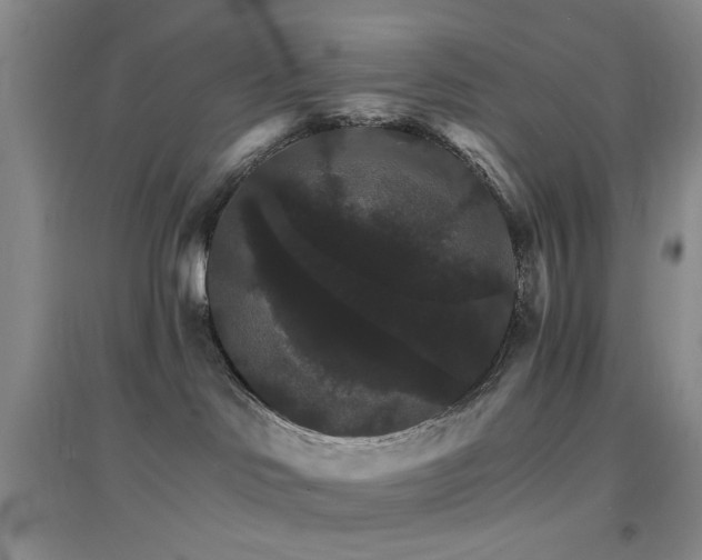 X0000096970046200802081302