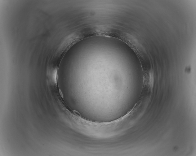 X0000096970047200802081302