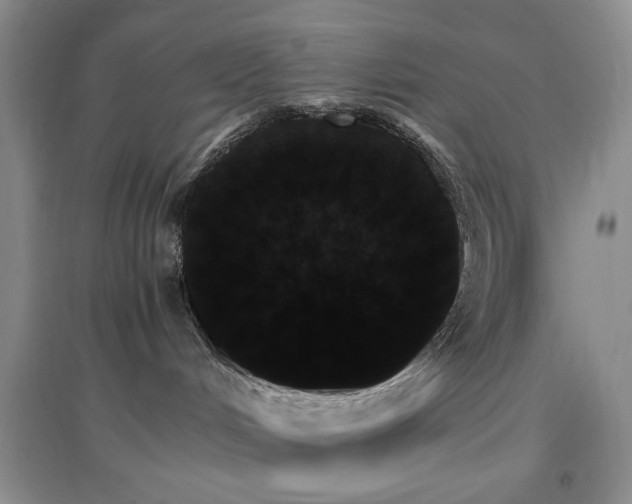 X0000096970048200802081302