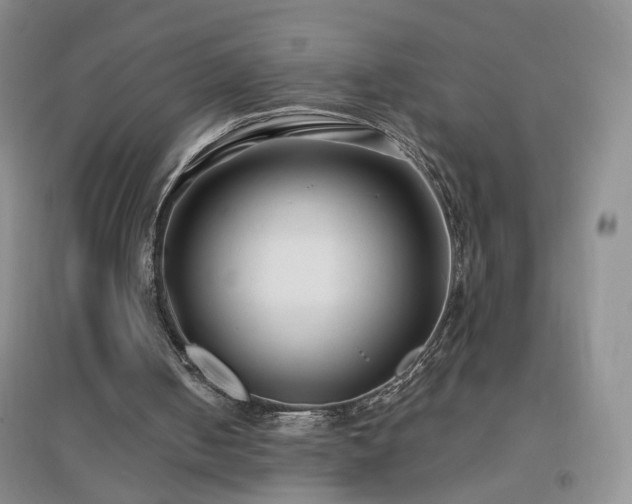 X0000096970050200802081301