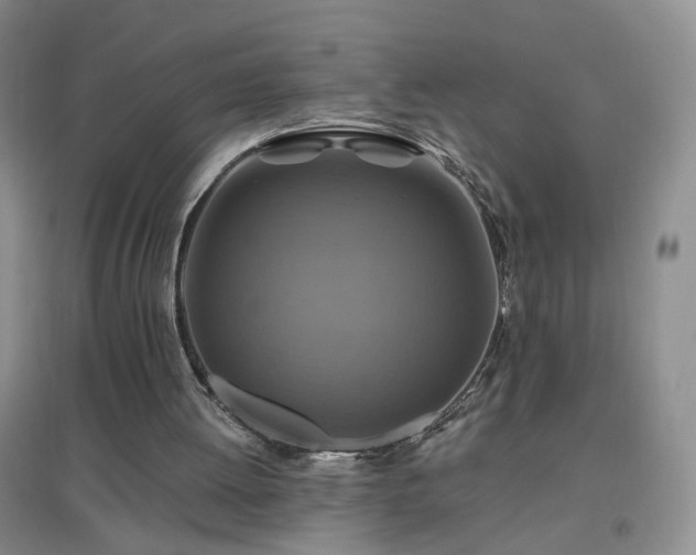 X0000096970052200802081301