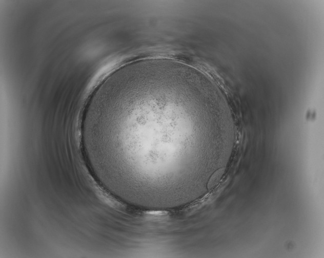 X0000096970053200802081301