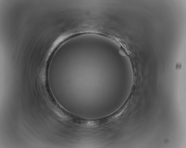 X0000096970056200802081301
