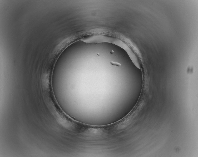 X0000096970057200802081301