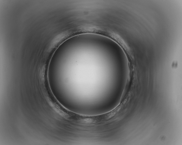 X0000096970058200802081301