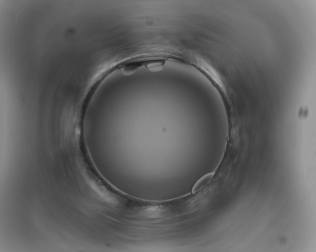 X0000096970059200802081301