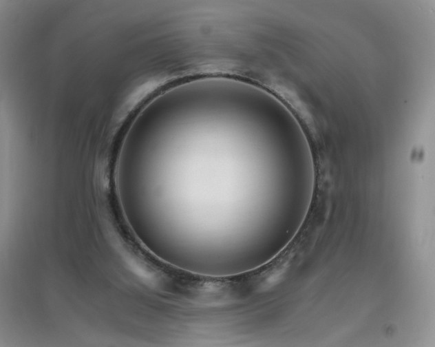 X0000096970060200802081301