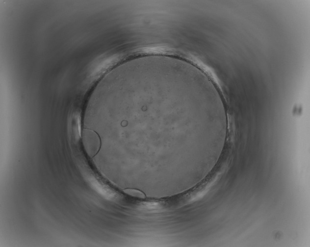 X0000096970061200802081301