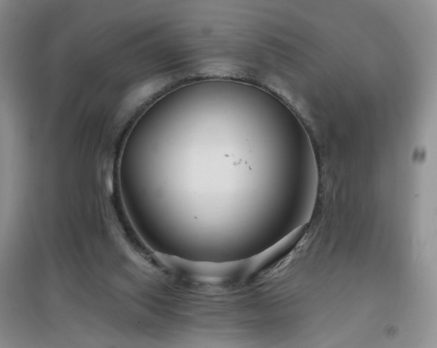 X0000096970062200802081301