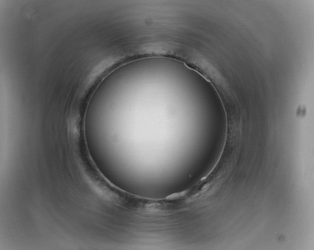 X0000096970064200802081301