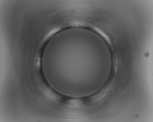 X0000096970067200802081301