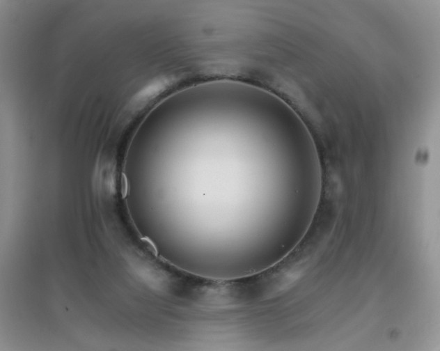 X0000096970068200802081301