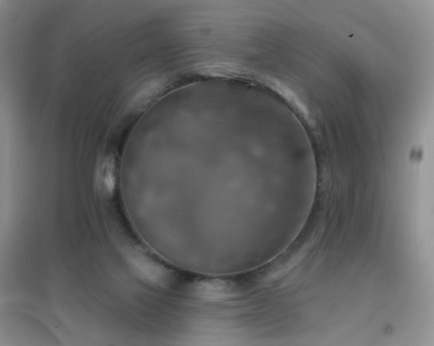 X0000096970069200802081301