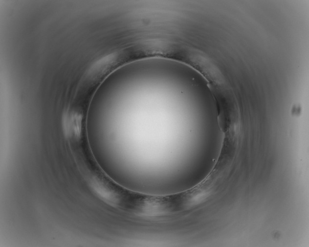 X0000096970070200802081302