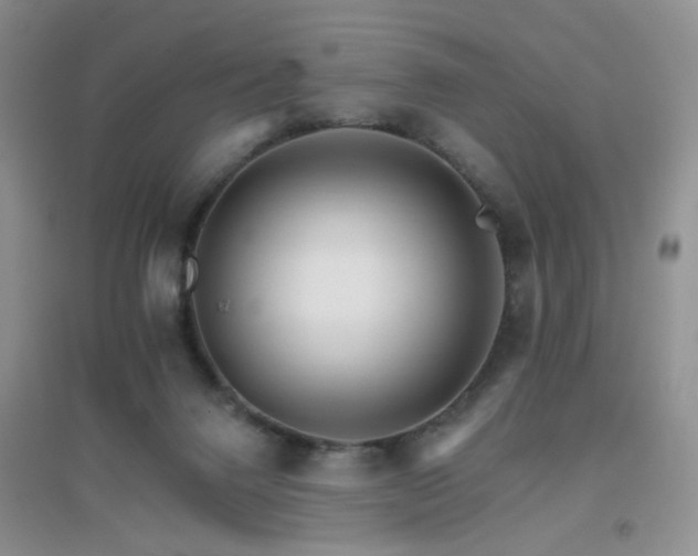 X0000096970072200802081302