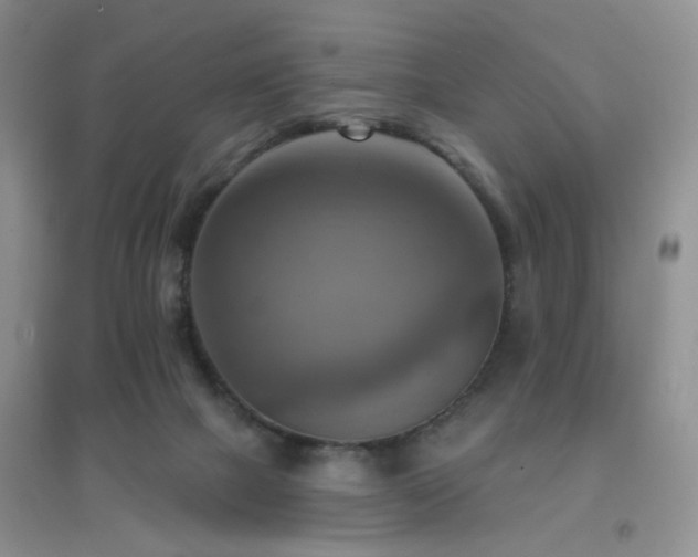 X0000096970073200802081302