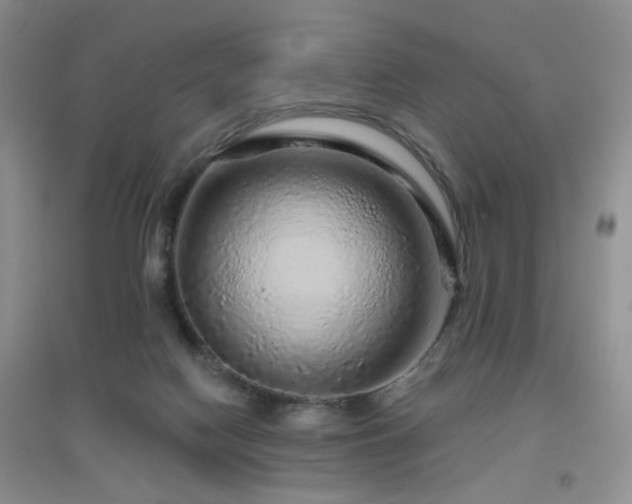 X0000096970074200802081302