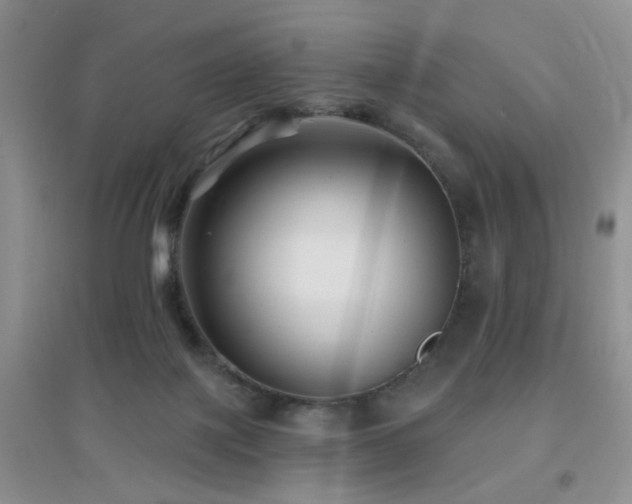 X0000096970075200802081302