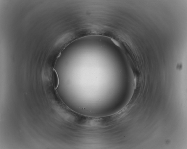 X0000096970078200802081302